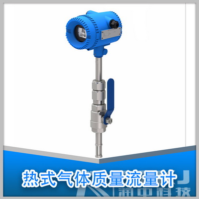 插入式熱式氣體質(zhì)量流量計(jì)