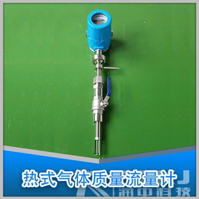 插入式熱式氣體質(zhì)量流量計(jì)